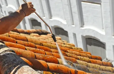 Nettoyage de toitures - Boigny-sur-Bionne